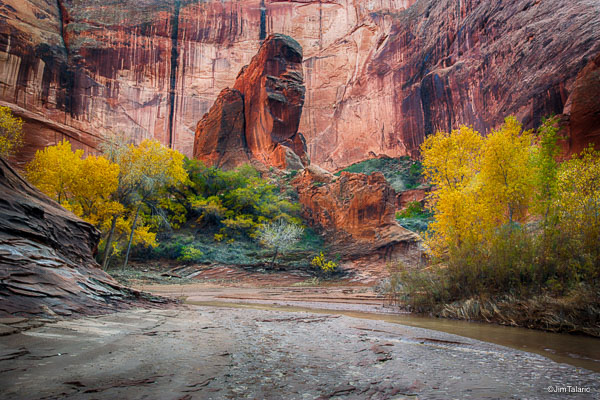 061029-Utah-068_HDR-Flat.jpg