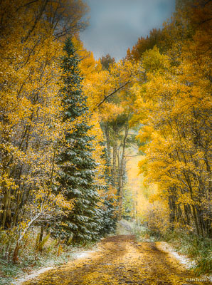 160923-Aspen-319_HDR-Edit-Edit-flat.jpg