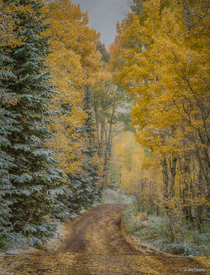 160923-Aspen-324_HDR.jpg