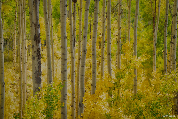 200927-Co-Fall-066_HDR.jpg