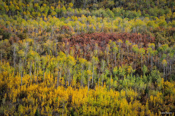 200927-Co-Fall-072_HDR.jpg