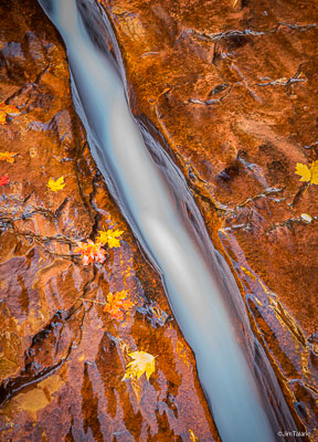 Waterscapes