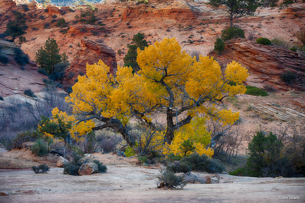 211104-Utah-072_HDR.jpg