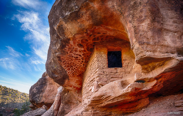 Nativescapes
