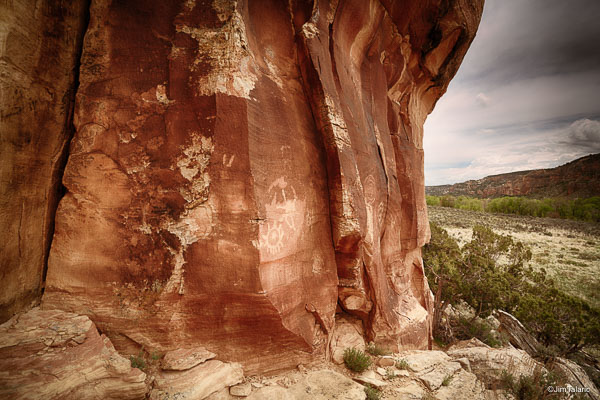 Nativescapes