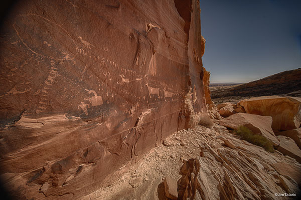 Nativescapes