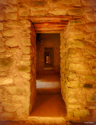 Nativescapes