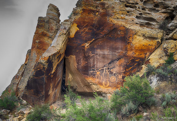 Nativescapes