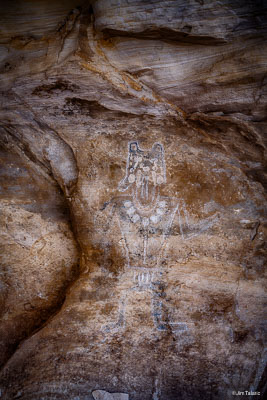 Nativescapes