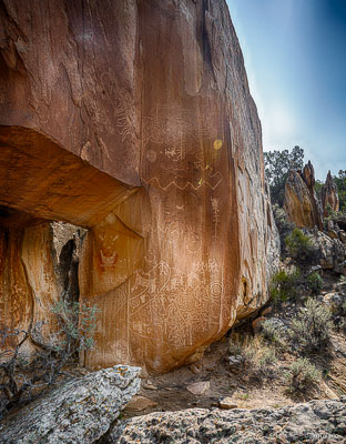 Nativescapes